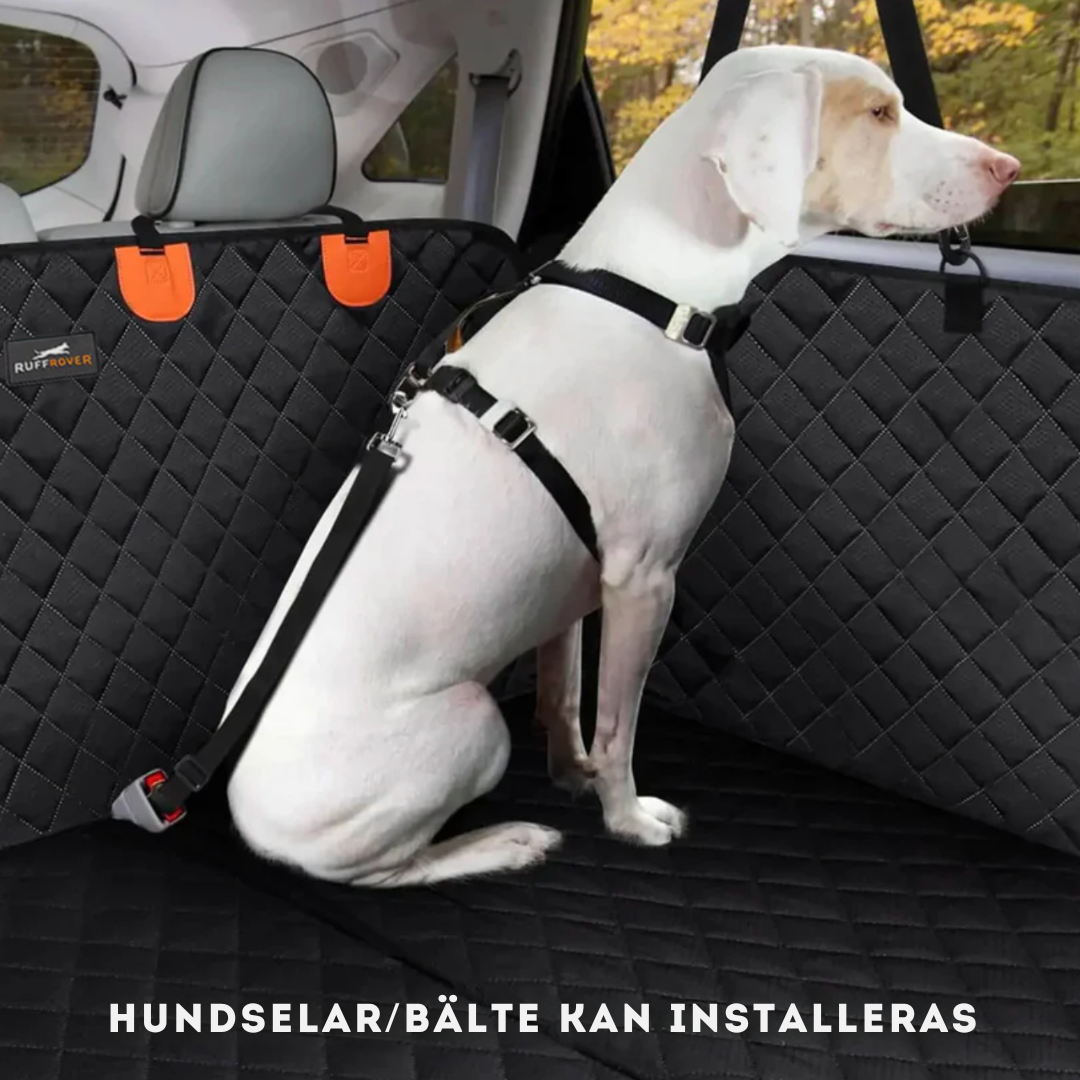 Car seat protection for pets and passengers