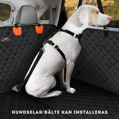 Car seat protection for pets and passengers