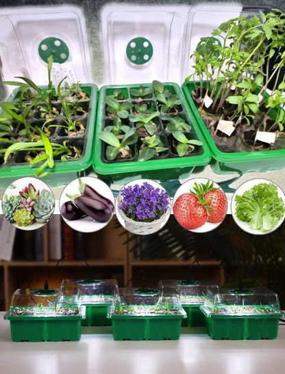 Indoor greenhouse with LED and air circulation