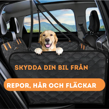 Car seat protection for pets and passengers