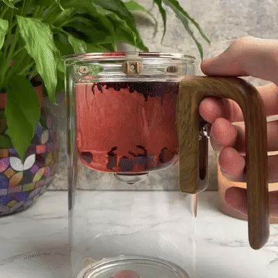 Seren Walnut Teapot