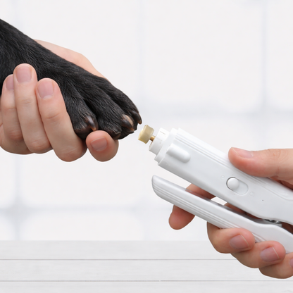 Electric Paw Trimmer 2-in-1