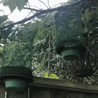 Hanging Insect Trap - Non-toxic solution for mosquitoes, flies and wasps