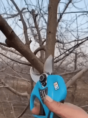 Electric secateurs with lithium battery 20v