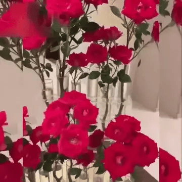 Modular Glass Vases - Build your floral style