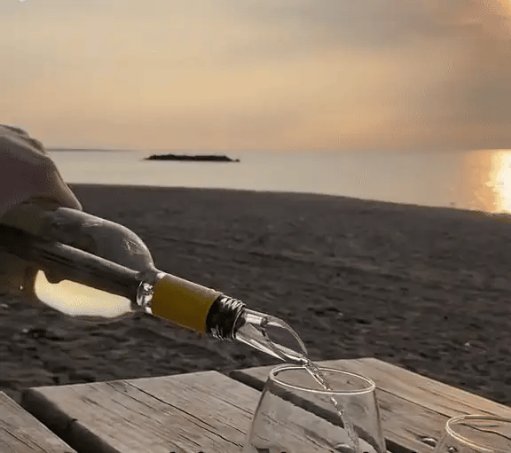 Premium Wine Cooler – Always a perfectly chilled drink, without ice and spillage