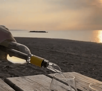 Premium Wine Cooler – Always a perfectly chilled drink, without ice and spillage