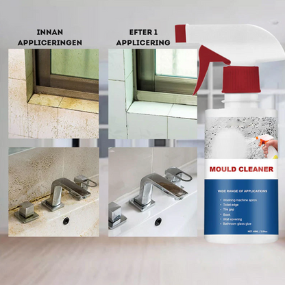 MögelXpert – Effective removal of mold and moisture stains