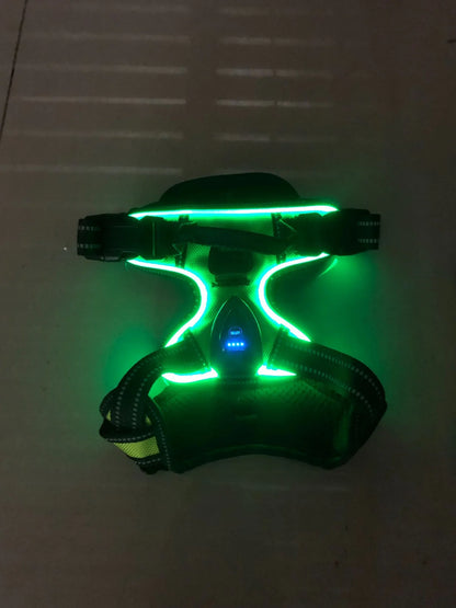 Luminous Dog Harness - for maximum safety