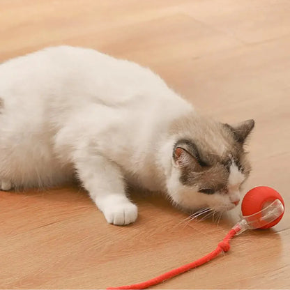 PawMotion – Interactive dog toy with sensor-controlled movement
