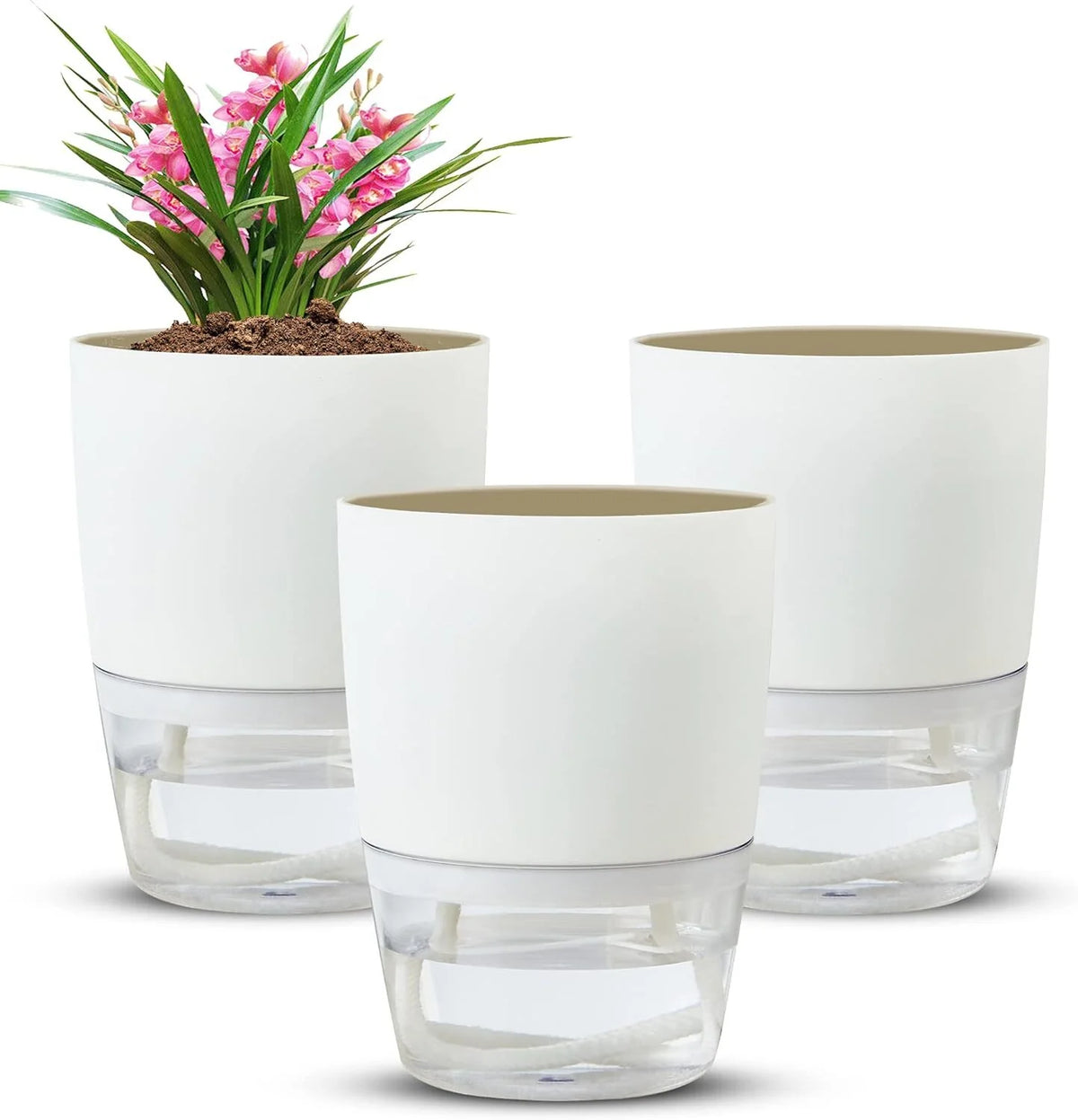 Self-watering Pot