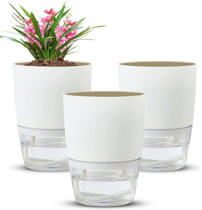 Self-watering Pot
