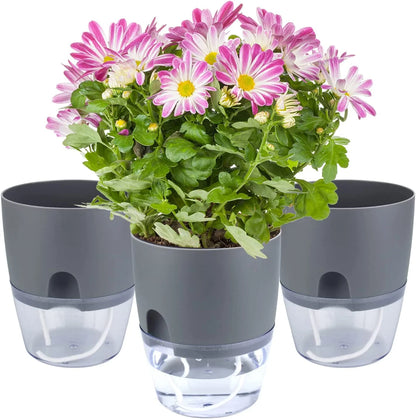 Self-watering Pot