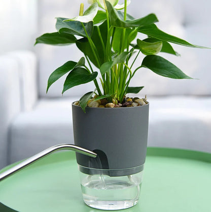 Self-watering Pot