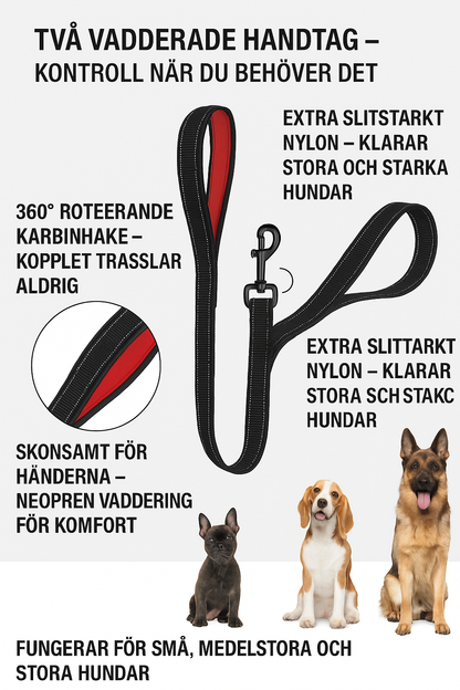 Reflex leash with double handles