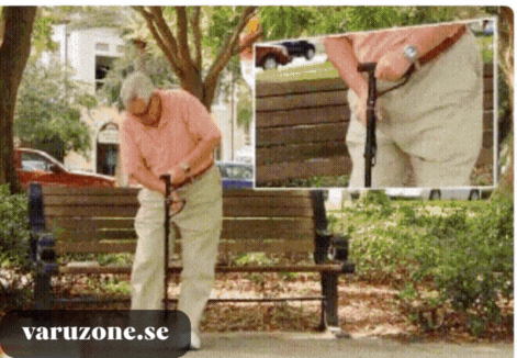 Anti-Fall Support Pole | With LED light, alarm, double handle & non-slip foot